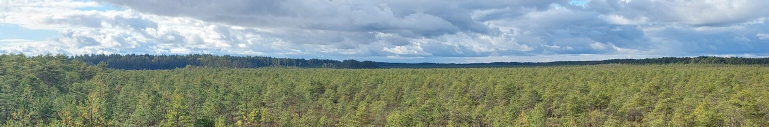 Keskkonnamõju hindamine